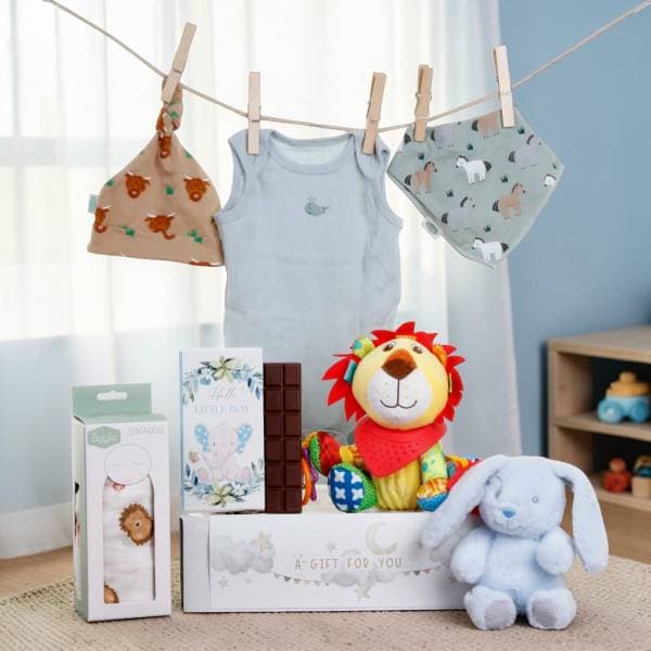 Hello Baby Boy Gift Hamper