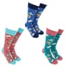 Sock Society Library Socks