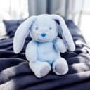 Blue Baby Boy Bunny 16cm from Keelco