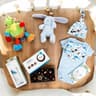 Hello Baby Boy Gift Hamper
