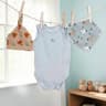 Hello Baby Boy Gift Hamper