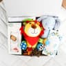 Hello Baby Boy Gift Hamper