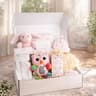 Hello Baby Girl Gift Hamper - AI Generated