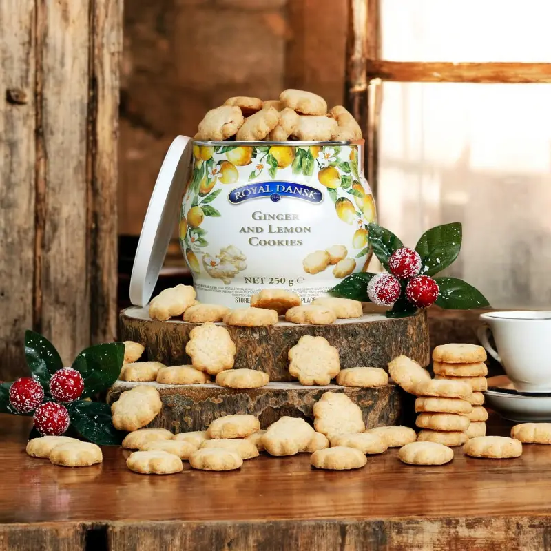 Ginger & Lemon Cookies in Globe Tin 250g
