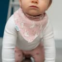 Ziggle Bunnies on Pink Bib