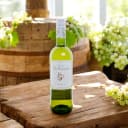 Domaine la Colombette Sauvignon Blanc 750ml (France)