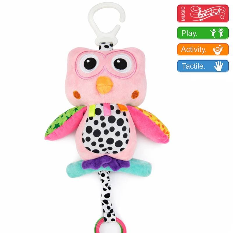 Musical Owl Toy